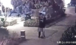南充吃瓜爆料事件视频曝光,视频曝光事件真相揭秘