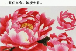 国画牡丹花教学视频,传统技法与现代创意的完美融合