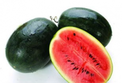 台湾网红吃瓜爆料