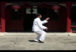 陈氏太极拳24式教学视频,入门必看，掌握经典套路